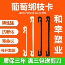 New agricultural Kiwi grape tie card dragon fruit blueberry Apple stick clip and lucky plastic buckle