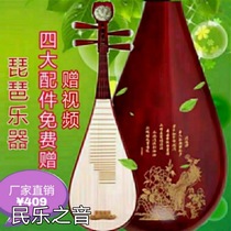 Pipa Childrens introduction Beginner practice Adult examination Play the whole back handmade mountain elm mahogany plain carved musical instrument