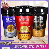 Hong Kong style milk tea original milk stockings 230ml 3 Net red instant drink drink Mandarin Duck coffee tea drink