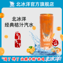 (Arctic Ocean Orange Flavor Soda 330ml * 12 tins) Old Beijing Soda Juice Carbonated Beverage
