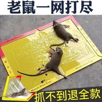 Rat catching magic powerful mouse board mouse paste rat paste rat kill rat catch big mouse clip artifact stick mouse glue home