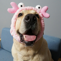Pet cute cute headgear hat Dog Golden Retriever Brado Corgi medium and large dog headdress dress up hat