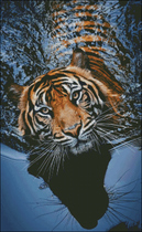 ◇Orange love embroidery◇ Self-matching DMC cross stitch kit mixed embroidery series-Tiger in the water