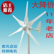 Six-blade 300W micro wind turbine household 220V group wind and solar complementary system 12V24V wind power generation