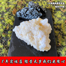 (Changbai Mountain pure wild cave stone Tai years) meat Ganoderma lucidum high quality super white pure natural 100g