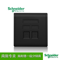 Schneider switch socket Fengshang series freehand black two double Computer Network Information Panel