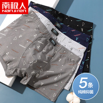  Antarctic pure cotton antibacterial underwear mens summer thin boxer shorts sexy large size breathable four-corner bottoms