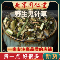 Tongrentang raw material new product Bidens bipinnata wild three-leaf Bidens tea Guizhen grass has a leaf rod 500g Chinese herbal medicine