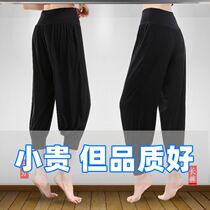Pregnant women pants wear spring and autumn clothes tide mother fashion modal loose Korean spring and summer thin size bloomers