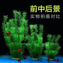 Fish tank fake water plant simulation high soft plant Small fish tank fake grass landscaping decoration package Small plastic