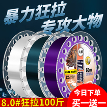 Big herring fishing line Main Line Japanese imported super soft nylon giant green sturgeon super strong pull