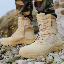 Outdoor high-top combat boots men's shock-absorbing hiking boots wear-resistant hiking boots desert tactical boots black training shoes