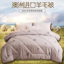 Wool quilt% wool quilt winter quilt core thickened warm spring and autumn quilt single double quilt 1213y