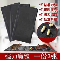 Strong sticky mouse board catch sticky big mouse glue efficient rat trap kill rat artifact nemesis household nest end