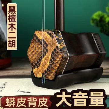 苏州红木大低胡乐器红花梨木小低胡大胡低音二胡