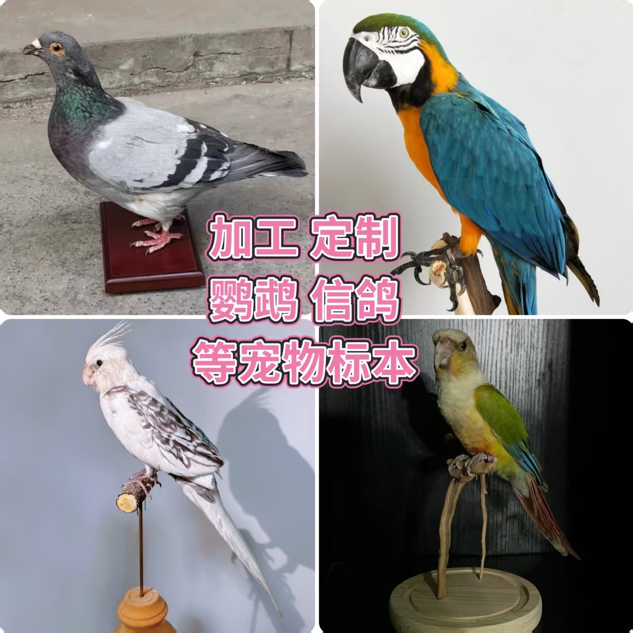 O1CN010QOXpB1a8a6qReOzx_!!