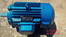 Torque motor Three-phase asynchronous pure copper wire winding motor Vertical horizontal general ticket