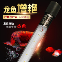 Sen Sen fish tank original LED light Aquarium diving lighting landscape light Arowana waterproof lamp red fish is not red water