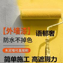Outdoor wall paint waterproof sunscreen general workshop use rough room sunscreen paint building Mao embryo room rental house roof