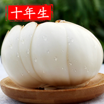 (1kg 3 pieces) Nonglan New Lily 500g edible sweet Lanzhou fresh lily non-dried lily