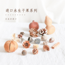 Imported dried fruit diy pine fruit eucalyptus cinnamon Christmas and New Year ornaments eternal flower material shooting props
