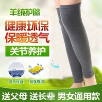 Knee pads keep warm old cold legs for the elderly comfortable autumn men and women joints spring and winter protection cold calf sleeve