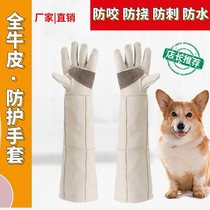 Pet shop anti-cat scratch-proof dog bite gloves extended and thickened tear-resistant dog training dogs pet bath gloves home