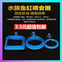 Feeding ring feeding fish food feeding fish tank large large goldfish small feeding turtle buoyant floating artifact