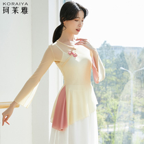 Dance clothes Classical dance National modern body rhyme dance performance practice clothes tops female adult Chinese dance dance gauze clothes