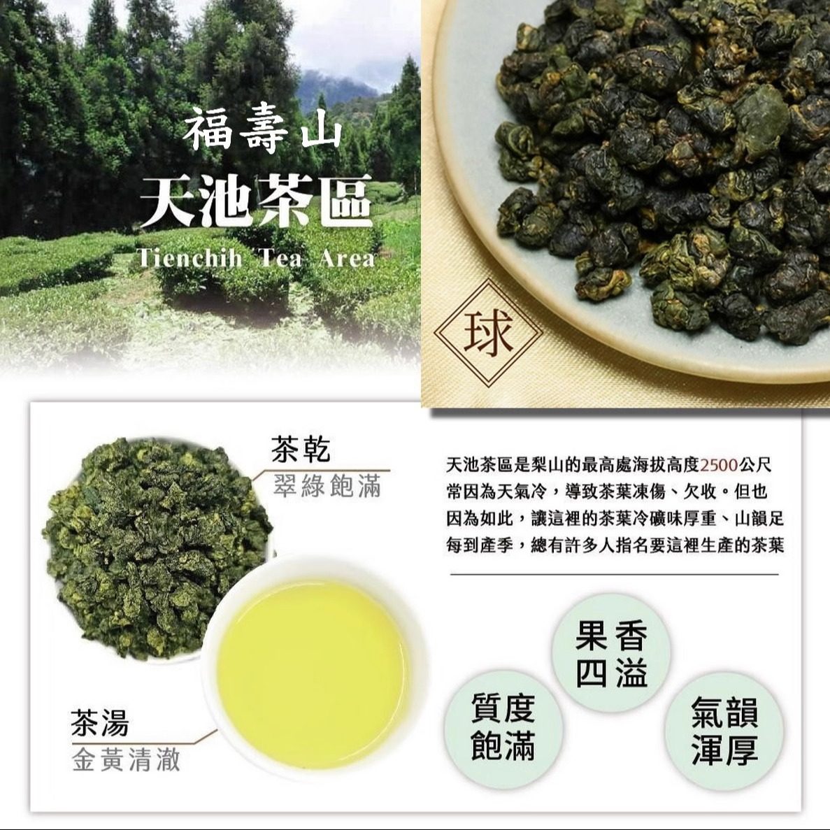 台湾好茶】梨山 「天池」高冷茶 冬茶 75g 【公式通販】