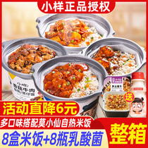Small sample self-heating rice 8 boxes of convenient lazy fast food Net red food self-cooking instant self-heating rice