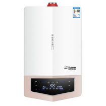 Constant temperature Shi Si gas water heater household 12 liters 16 liters natural gas liquefied gas gas forced discharge type instant heat