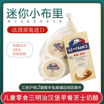 French original imported original ready-to-eat childrens cheese Baugh mini-Brie Briechees snacks New