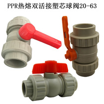 PPR all-plastic double-union ball valve 4 minutes 6 minutes 1 inch PPR tap water pipe joint fittings PPR pipe valve switch