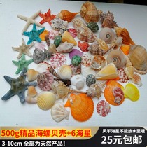 500g + 6 starfish conch shell decoration package floor window props childrens toys creative gifts