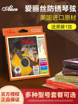 Alice Alice strings AW436 Phosphorus Bronze Ballad Wooden Guitar 1 String One set of 6 Accessories Hyuns complete line