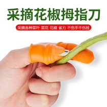 Fruit picker cutting line knife picking Pepper artifact finger wear-resistant disassembly machine cutting vegetable thumb knife picker special gloves