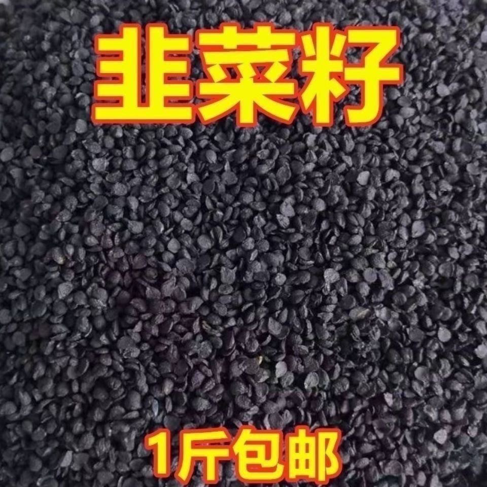 韭菜籽-韭菜籽促销价格、韭菜籽品牌- 淘宝