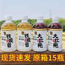 Qiuli Tieguanyin Oolong Tea Beverage Dahongpao 350ml Original Ye Zhen Tea Summer New 0 Sucrose Tea Drink