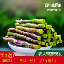 Fujian specialty authentic Dendrobium dendrobium fresh strips freshly picked premium dendrobium dry strips gift box 500g