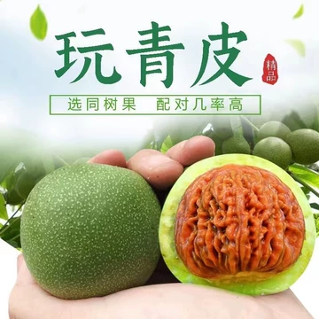 48蛤蟆头 クルミ文玩核桃 文玩核桃中常见的两种蛤蟆头了解下_延庆