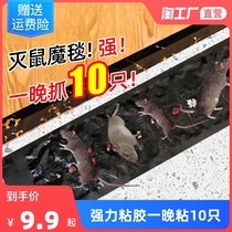 Sticky mouse stickers strong mouse stickers household sticky mouse board super strong glue mouse-killing mouse-trap artifact to catch big mice