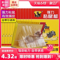 Glue mouse paste strong sticky mouse board catch sticky big mouse sticky mouse glue household mousetrap artifact a nest end