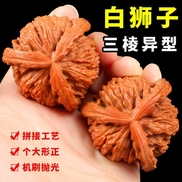 遊び胡桃 三棱 白狮子核桃 文玩 クルミ