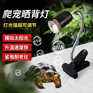 龟背灯-龟背灯促销价格、龟背灯品牌 - 淘宝