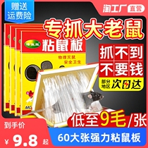 60 sheets of super-strong sticky rat board rat paste rat-killing rat-trap artifact strong adhesive big rat home a nest