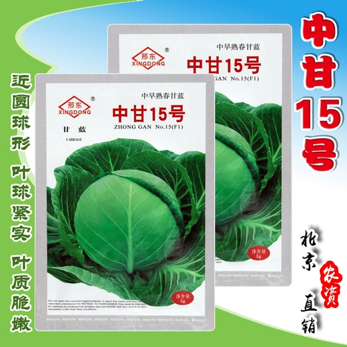 Чжунган 15 -го поколения гибридных семян капусты, капусты, капусты, семян овощей, семян овощей, зимней и сильной весной и осенними посевами