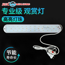 Minjiang Baoli MJ-238 260 HR3 380 480 580 fish tank original tube lighting LED aquatic lamp
