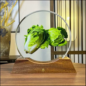 水晶白菜-水晶白菜促销价格、水晶白菜品牌- 淘宝