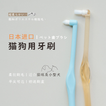 (Tip flat head optional) cat toothbrush Japan imported ci pet cat small dog soft hair small toothbrush